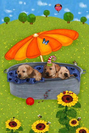 Meine Hunde Tim, Tom,Teddy